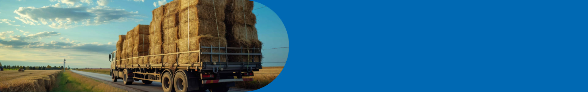 Valnes logistics - Header