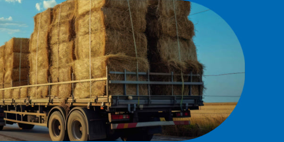 Valnes logistics - Header